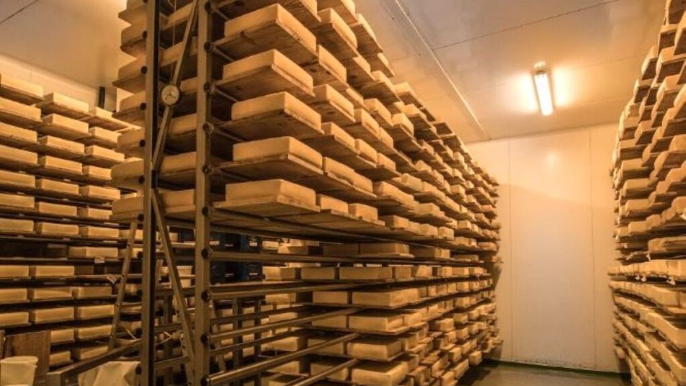 Compania de brânzeturi De Colţeşti estimează afaceri de 30 milioane de lei în acest an