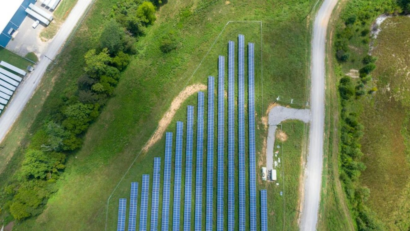 Expansiunea parcurilor fotovoltaice în SUA pune în pericol o parte dintre cele mai bune terenuri agricole - analiză Reuters