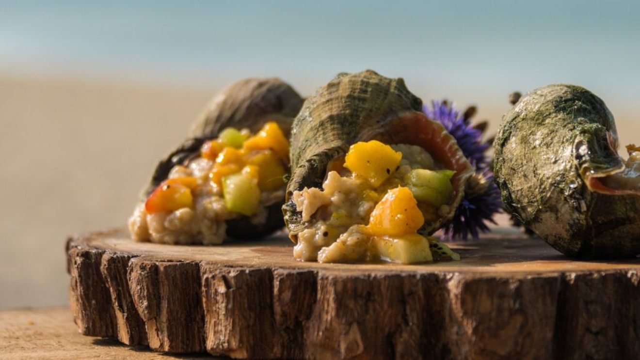 DSVSA Constanța permite reluarea recoltării de moluște vii din Marea Neagră / Scoicile și rapanele sunt sigure pentru consum