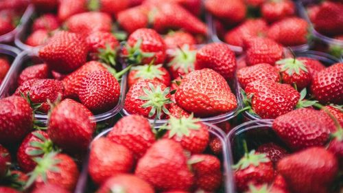 Adevărul despre pesticide: Căpșunele, merele, piersicile, nectarinele și strugurii, fructele din producția internă cu cele mai multe probe cu reziduuri de pesticide / În Transilvania nu a fost detectată nicio probă neconformă - Raport ANF