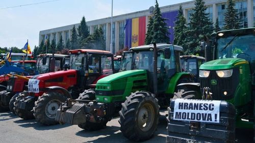 Fermierii din Republica Moldova protestează și cer instituirea stării excepționale în agricultură / Este al treilea an consecutiv când sunt loviți de secetă