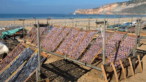 Cum se usucă peștele în Nazaré, Portugalia. Ultimele femei, care păstrează un obicei de sute de ani, ce aproape a dispărut în alte părți ale Portugaliei