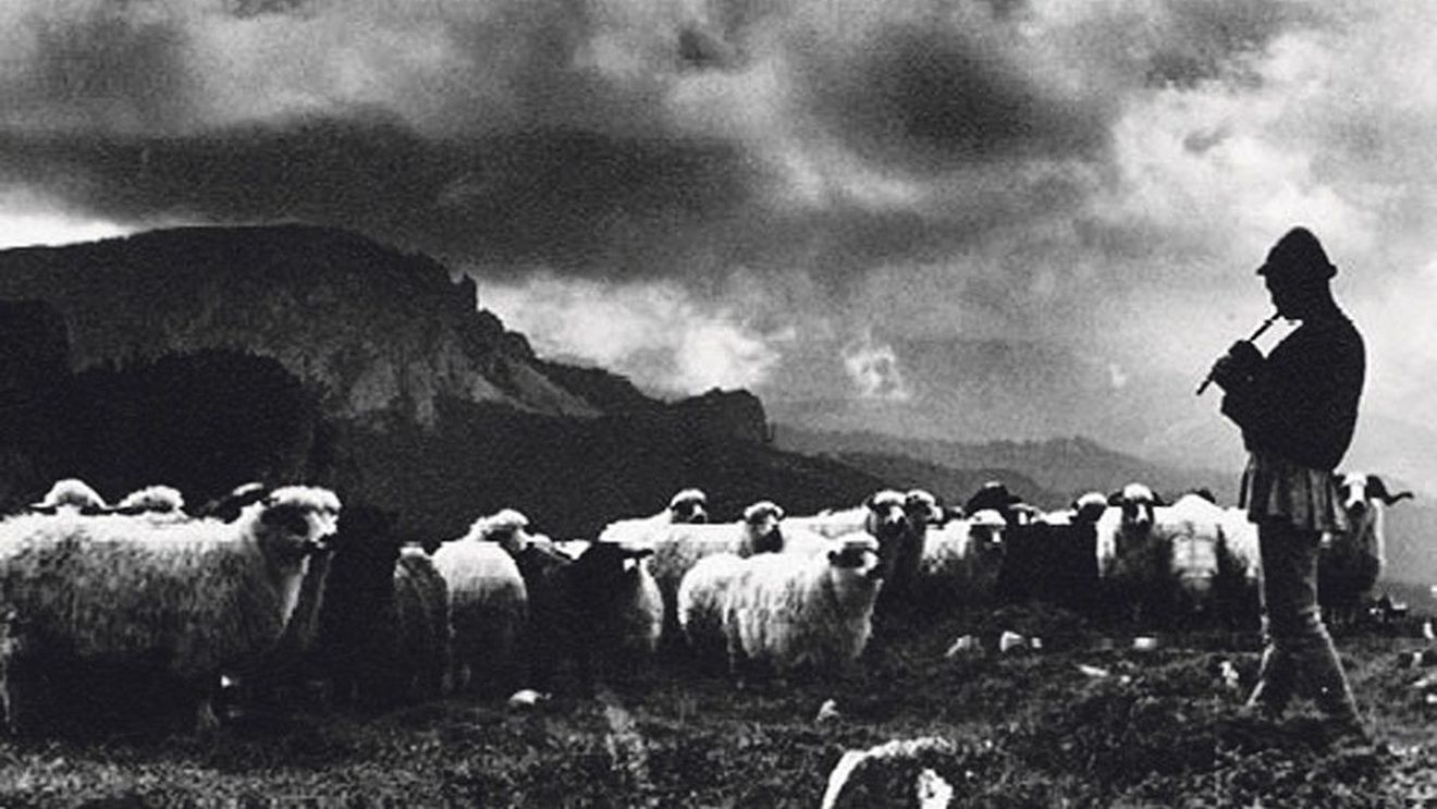 Povestea familiei de oieri mărgineni Vlad/ „În anul 1913, primul transport de unt romanesc își face apariția pe îndepărtata piață a Berlinului. Și este bine primit„