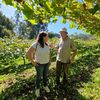 Are 74 de ani și oferă gratuit 26 de parcele de viță-de-vie. Nu trebuie plantat nimic, totul este gata pregătit. „Doar să știu că cineva are grijă de ele”