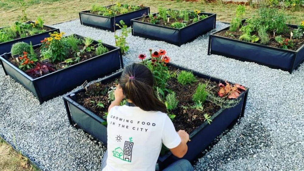 Specialist în agricultura urbană: Un orășean nu poate obține autonomie dacă are un balcon în care practică agricultura urbană, dar îl poate transforma într-un spațiu pentru terapie prin grădinărit