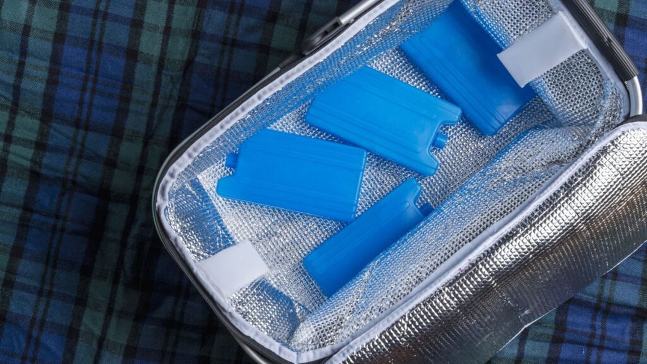 Sunt student, ce mănânc? Geanta frigorifică, metoda prin care unii studenți din provincie, precum Mara, aleg să își aducă mâncarea de acasă / „Sfântul” retailer de la care preferă să își cumpere alimente