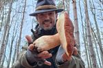 FOTO | Cât costă un kilogram de ciuperci din pădure și de ce diferă atât de mult prețurile / Florin Bustan: „Abundența, specia și calitatea fac diferența”