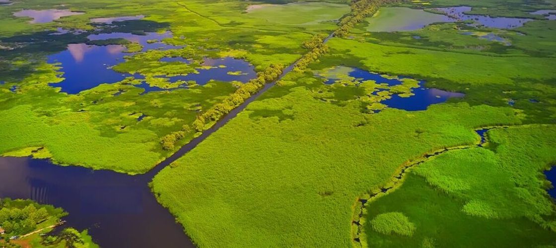 Tulcea: Controale pe aproape 3.000 de hectare din Delta Dunării/ Autoritățile verifică agricultura și transporturile de cereale