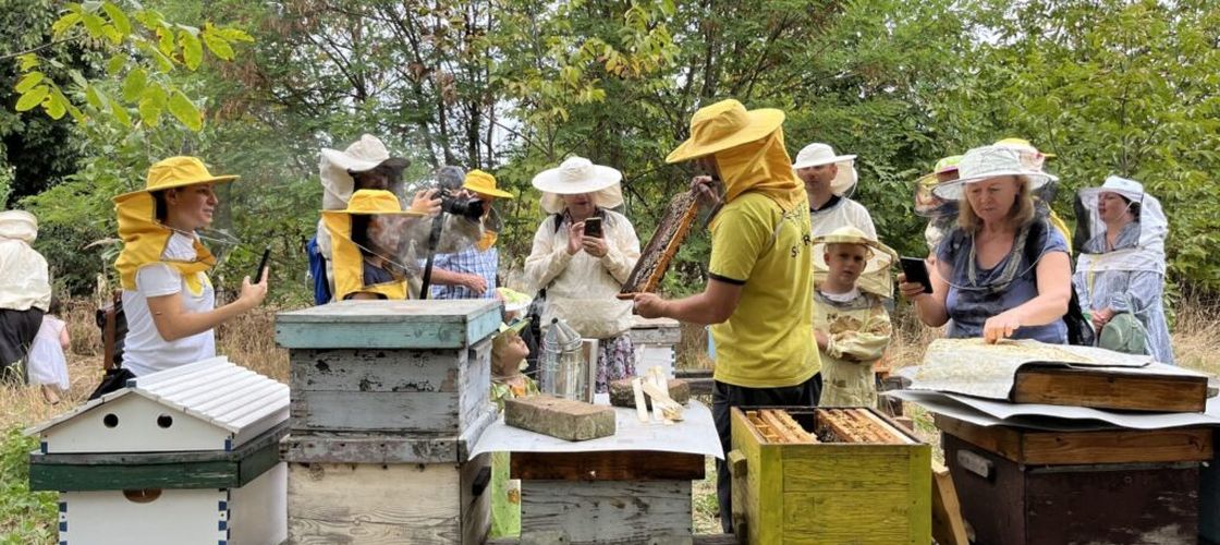 Timișoara dezvoltă două grădini urbane pentru albine/ Asociația GreenFeel a lansat proiectul „Permacultură Vie: grădini urbane pentru polenizatori și biodiversitate”