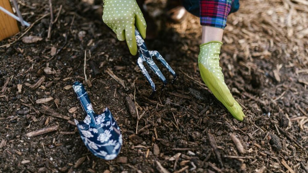 Parcela agricolă din oraș, o posibilă soluție „verde” la crizele moderne? „Se vorbește despre agricultura urbană ca despre o revoluție, dar, de fapt, este mai mult o adaptare, o evoluție a ceva ce a existat dintotdeauna”