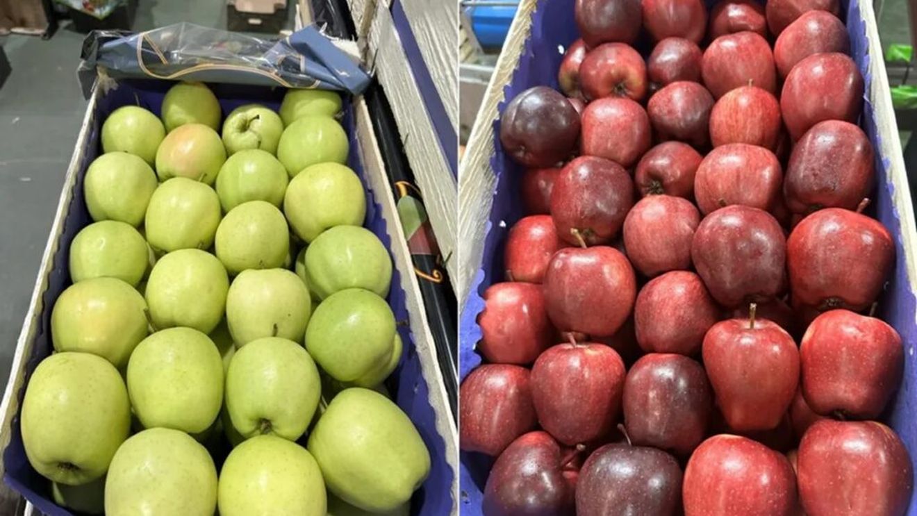 Sezon plin pentru producătorii de mere din Polonia, dar cu provocări pe măsură/Timpul lung de transport pe fondul crizei din Marea Roșie a afectat calitatea fructelor