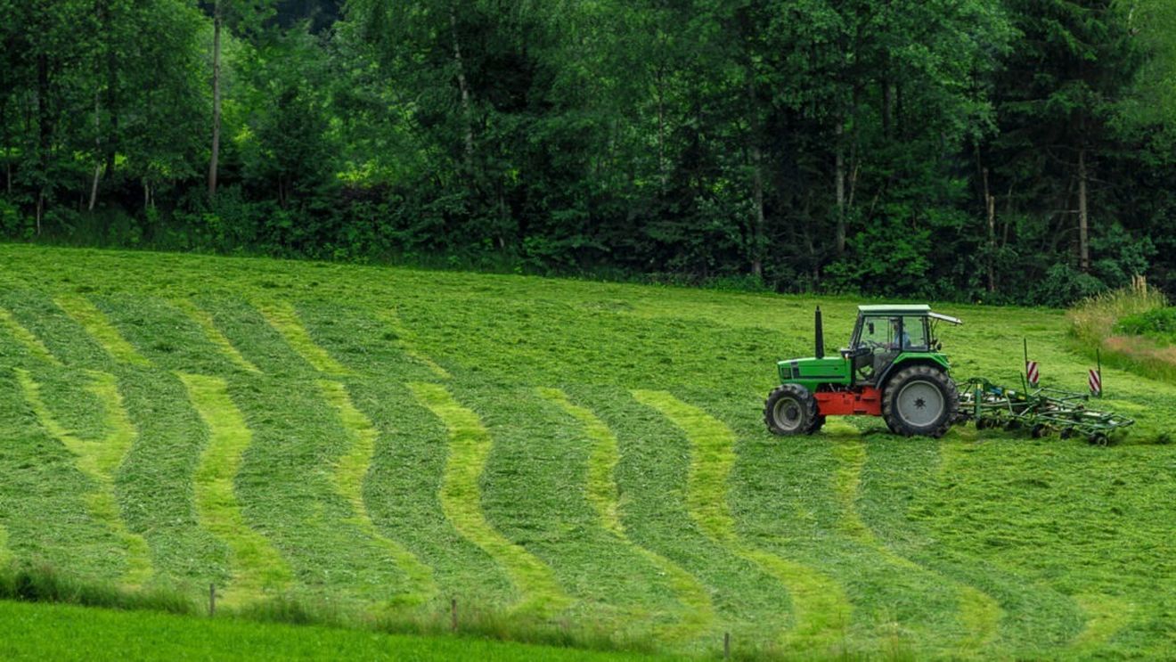 Prognoza Departamentului de Agricultură al SUA: Deficitul comercial agricol al Statelor Unite, deja la un nivel record, este pe cale să se adâncească și mai mult în anul fiscal 2025