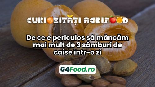 Curiozități agrifood – 01 noiembrie: De ce e periculos să mâncăm mai mult de 3 sâmburi de caise într-o zi