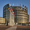 Scandal cu caracatiță în Parlamentul European / Un europarlamentar spaniol acuză cantina că a servit un preparat „fals”