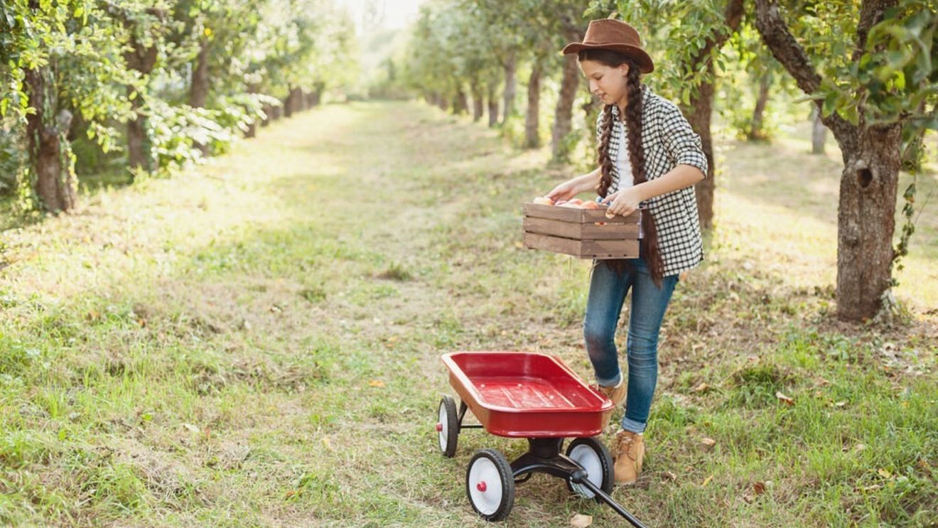 Agenţia pentru Finanţarea Investiţiilor Rurale a lansat în consultare publică „Ghidul solicitantului pentru licee agricole”