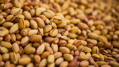 Spania: Fisticul devine cultura-refugiu a fermierilor din Aragón în plină criză agricolă / Fermierii îl văd ca alternativă la culturile care nu mai aduc profit