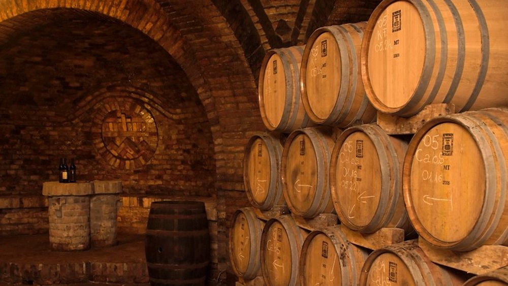 Buzău: O pivniţă datând din anul 1800, acoperită cu vegetaţie uscată, va fi introdusă în Registrul Arheologic Naţional