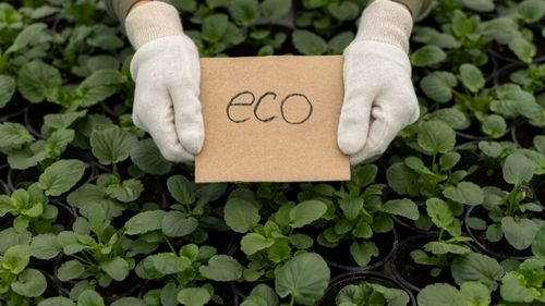 Agricultura ecologică din Tulcea, aproape de nivelul impus de normele europene / Judeţul va atinge mai devreme de 2030 obiectivul impus de Planul de acţiune al UE pentru agricultura ecologică