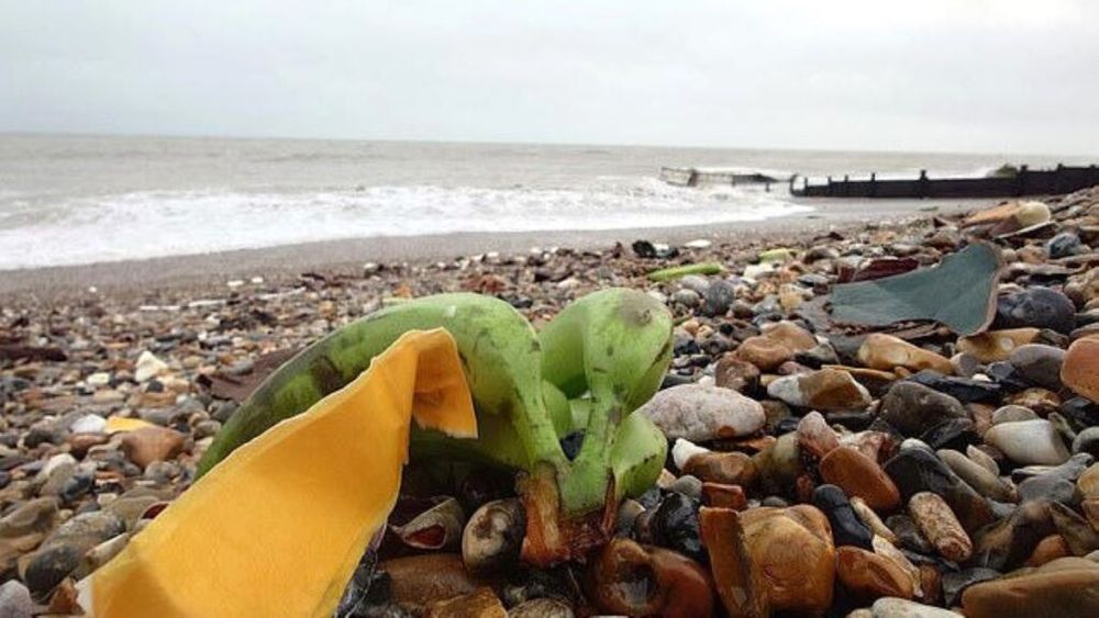 Tone de banane-platan pe plajele Angliei, după ce o navă container s-a răsturnat în larg