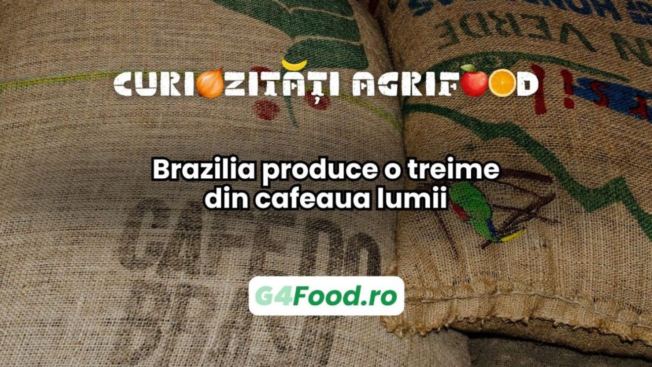 Curiozitate agri-food: Brazilia produce o treime din cafeaua lumii / Solul fertil și clima caldă sprijină dominanța globală care durează de peste un secol