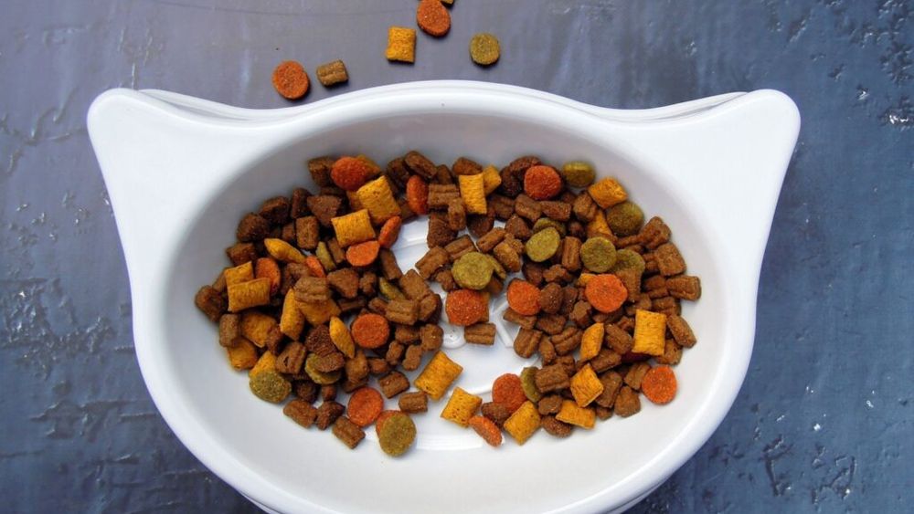 VIDEO Droguri ascunse într-o pungă de mâncare de pisici și aduse în România prin intermediul unei firme internaţionale de curierat