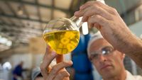 Biocombustibilii revin în atenția UE. Pot câștiga fermierii europeni din noua strategie energetică?