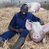 Povestea emigrantului kenyan care a devenit un model pentru fermierii englezi. Cum a reușit Flavian Obiero să-i cucerească pe britanici