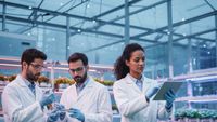 Forumul APPR salută decizia PE de aprobare a utilizării NGT. „Un nou pas pentru creșterea competitivității agriculturii europene”