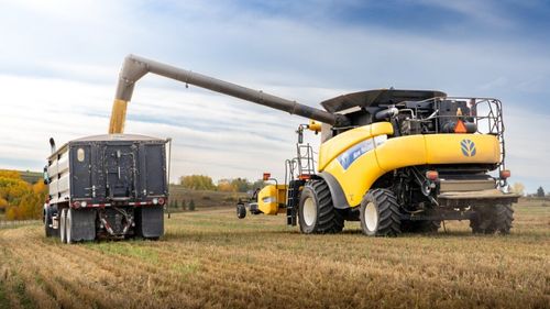 Ministrul Agriculturii, în contextul schimbărilor climatice: Din punct de vedere al securităţii alimentare, România este asigurată