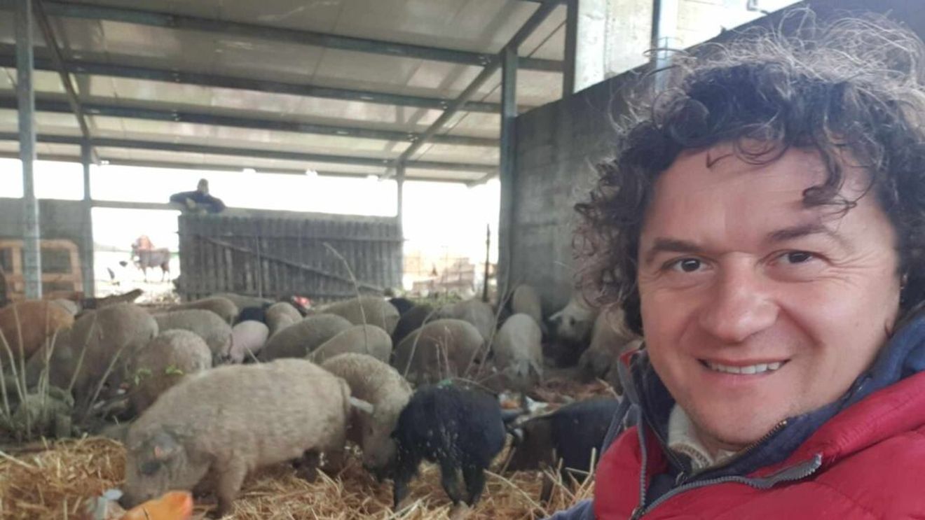 Singurul fermier din România care are un doctorat pe tema „porcul Mangalița” / Alin Neamțu: „Slănina de Mangalița este nelipsită de la micul dejun. Mi-am făcut analizele și toate valorile sunt în limite normale”