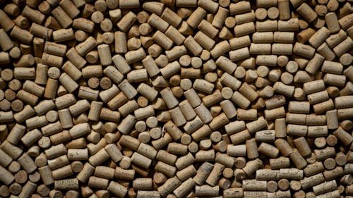 Pluta, unul dintre cele mai sustenabile materiale din lume, ne-ar putea rupe dependența de plastic