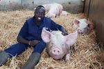 Povestea emigrantului kenyan care a devenit un model pentru fermierii englezi. Cum a reușit Flavian Obiero să-i cucerească pe britanici