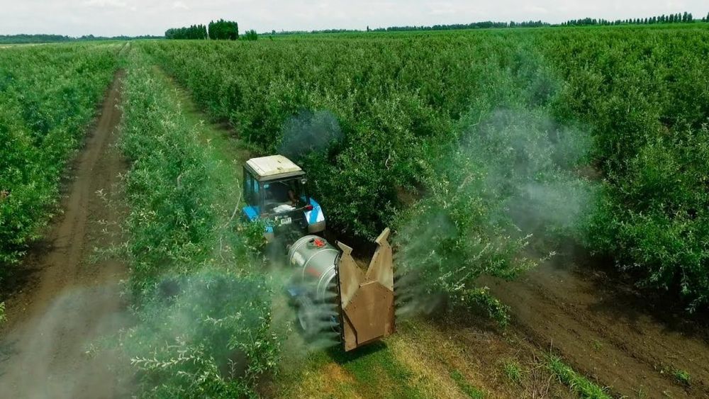 Asociația Industriei de Protecția Plantelor din România: ”Recomandăm fermierilor români să nu achiziționeze produse de protecția plantelor în exces și să constituie stocuri”