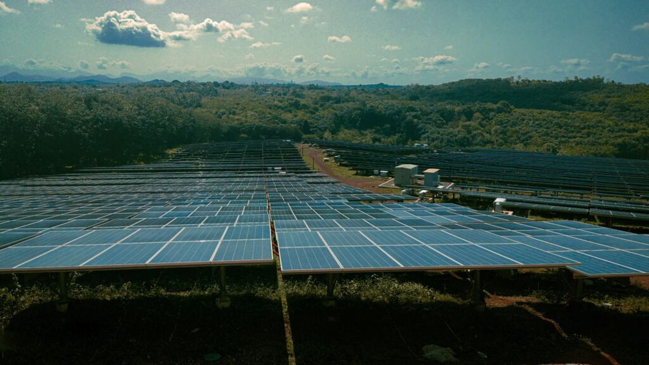 Ce se întâmplă când cultivi roșii sub panouri solare / Rezultatul i-a surprins pe cercetători: mai puțină apă, producție aproape la fel, energie în plus