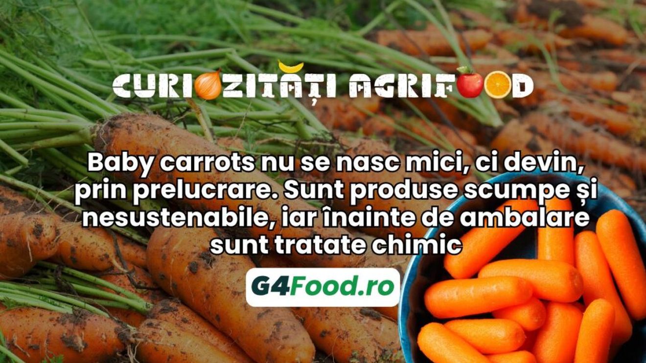 Curiozități agrifood - 30 august: Baby carrots nu se nasc mici, ci devin, prin prelucrare. Sunt produse scumpe și nesustenabile, iar înainte de ambalare sunt tratate chimic