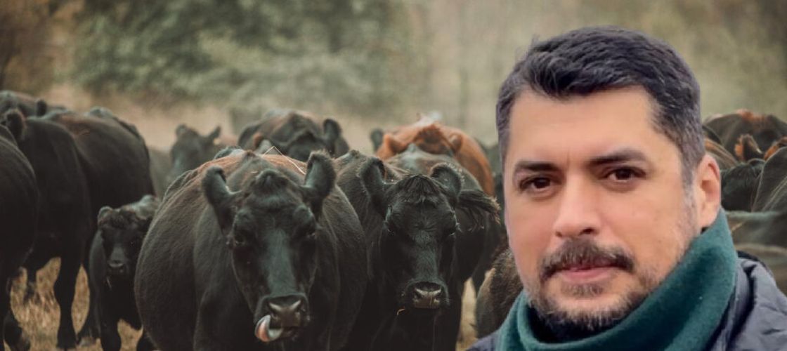 INTERVIU | Cum se crește vita 100% grass-fed în România. Ștefan Bărbulescu, fondator Angus Farm: „Putem să ne dăm seama în ce sezon a fost sacrificat animalul după gustul fripturii”
