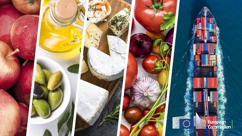 Comerțul agri-food al UE a înregistrat un deficit de 4,4 miliarde, în februarie / Exporturile agroalimentare ale UE au ajuns la 19,6 miliarde de euro
