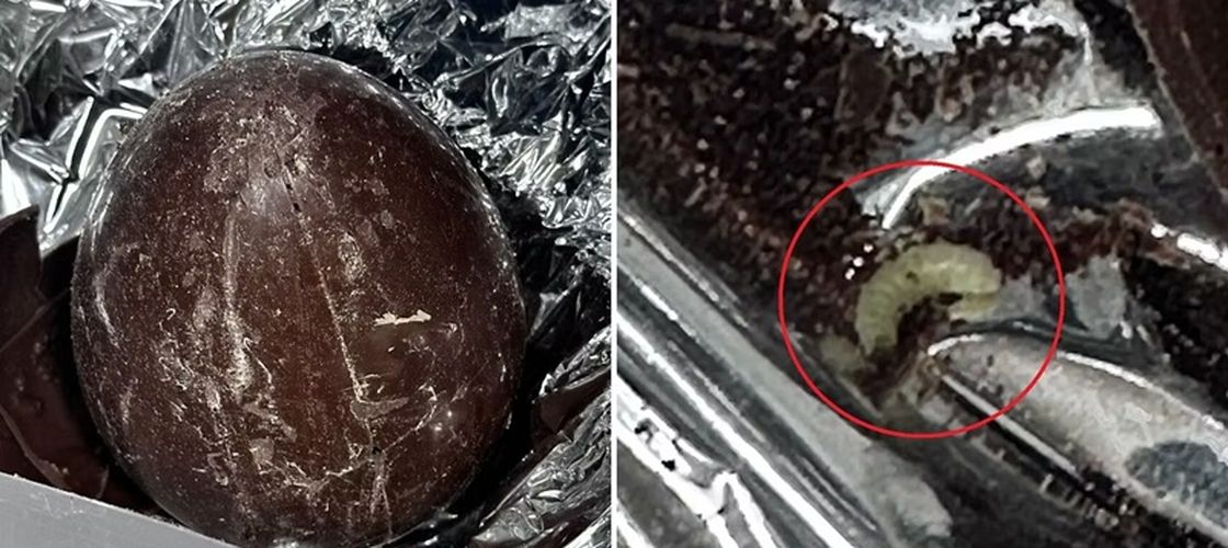 Scandal alimentar înainte de Paște, în Italia / Ouă de ciocolată cu larve descoperite de elevi / Fabrica a fost închisă