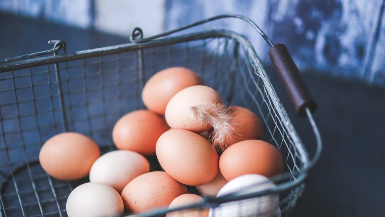 Ouăle ecologice, pe primul loc în topul celor mai căutate produse bio pe piața europeană