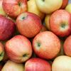 România absoarbe peste 30% din exporturile Republicii Moldova, dar potențialul este uriaș/ 40% din totalul exporturilor sunt produse alimentare