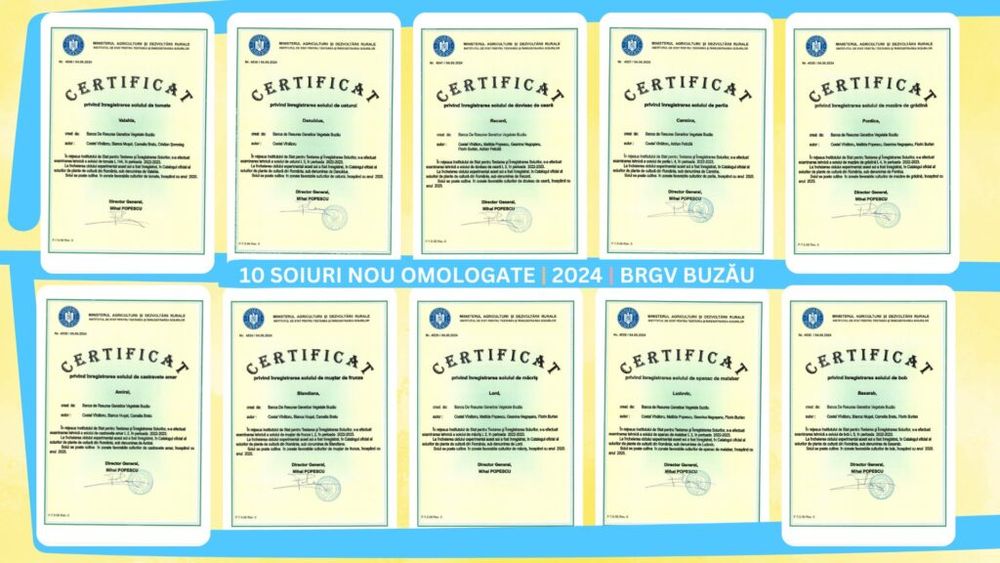 Buzău: 10 soiuri de plante obţinute la Banca de Resurse Genetice Vegetale au fost omologate naţional şi european / Printre ele se numără castravetele amar Amiral și usturoiul Danubius