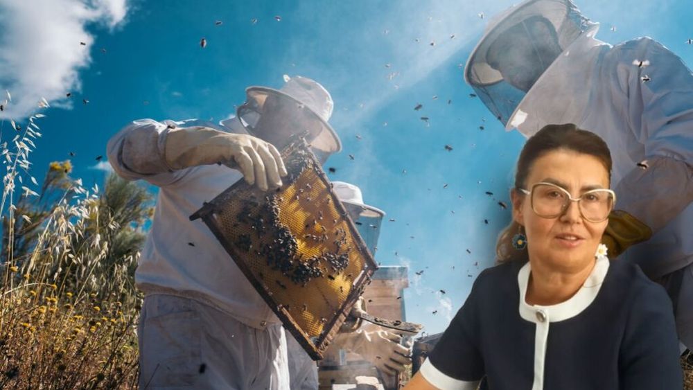 VIDEO | Ruta Mierii din Banat/ Silvia Păturică (profesor la Universitatea de Științele Vieții din Timișoara): „Turistul privește viața albinelor și cum muncesc și, în același timp, printr-o mască de unică folosință, va inhala aerul din stup, mirosul mierii”