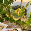 România, Republica Moldova și Bulgaria lansează „Treasures of the East”, un proiect comun pentru promovarea vinurilor și gastronomiei din regiune