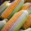 Ce se întâmplă în organism când mănânci alimente modificate genetic? Un specialist în nutriție explică ce sunt OMG-urile, ce este mit și ce ar trebui să ne preocupe