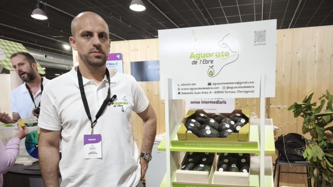 VIDEO | Cum a reușit un agricultor din Spania să aibă recoltă de avocado tot anul/ „Cultivăm avocado tot anul. Avem șapte soiuri diferite, fiecare cu sezonul său propriu, și astfel putem acoperi întregul an”