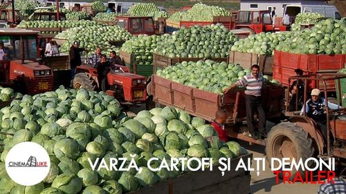 VIDEO | Şerban Georgescu despre documentarul 'Varză, cartofi şi alţi demoni. După 10 ani': O poveste despre muncă