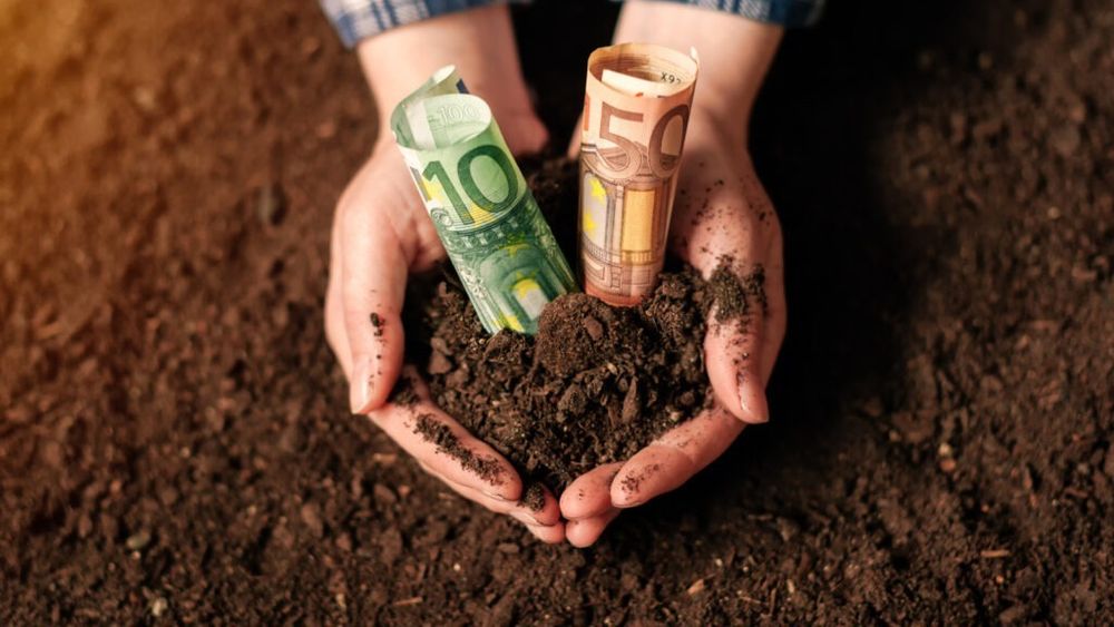 Fermierii bihoreni au atras fonduri europene de 130 milioane de euro prin PAC 2023-2027 / Suma reprezentând 10% din alocarea naţională