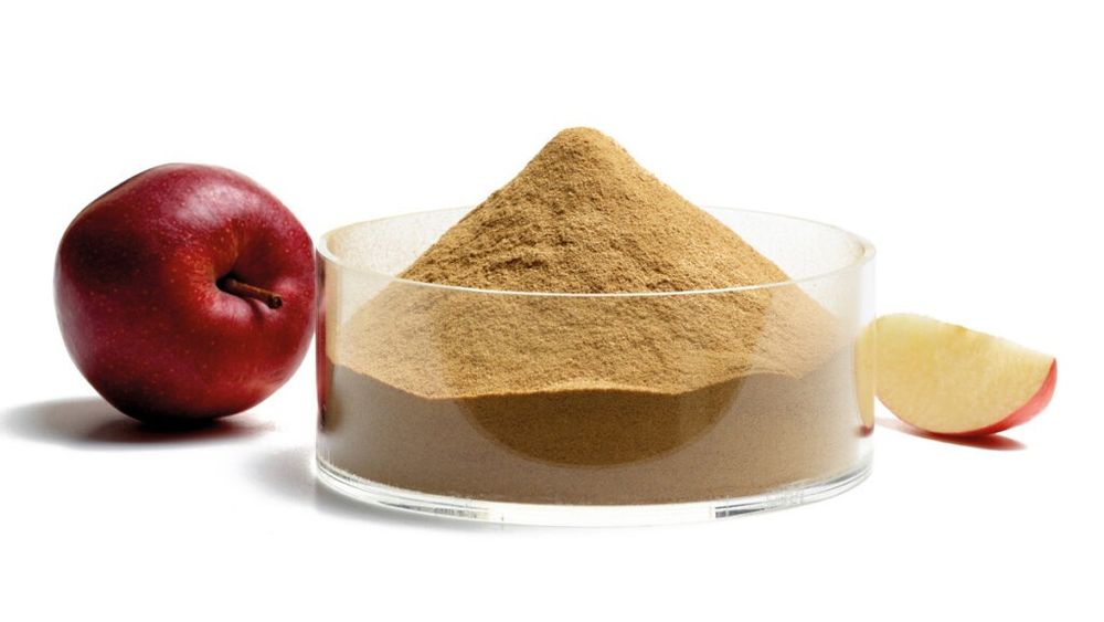 Făină de mere, un nou ingredient prezentat la un târg de profil din Italia. Complet naturală și fără adaosuri, se folosește în patiserie, cofetărie, brutărie și în aluatul pentru paste