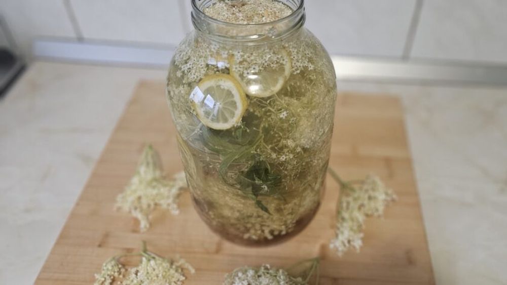 FOTO-VIDEO | Cum prepari socată cu puțin zahăr / Pentru fermentare se pot folosi smochine, curmale, stafide sau alte fructe uscate