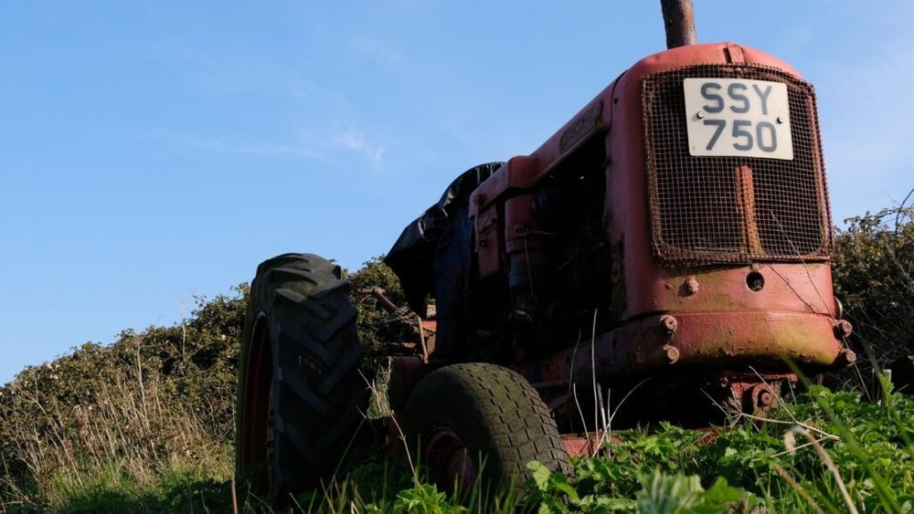 Peste 12 milioane de hectare de terenuri agricole au fost abandonate în SUA între 1986 și 2018, arată un studiu / Cercetătorii au identificat în ce s-au transformat